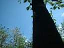 DSCF0005.JPG