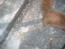DSCF0006.JPG