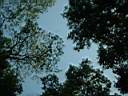 DSCF0025.JPG